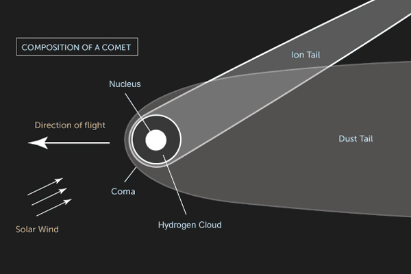 Composition of a comet