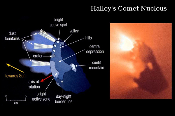 Halley's Comet Nucleus