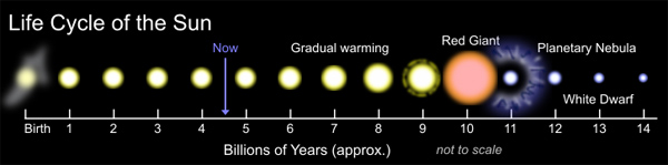 Sun's life cycle