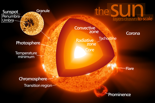 The structure of the Sun