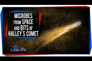 Microbes From Space and Bits of Halley's Comet